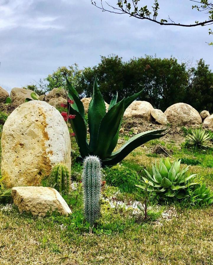 L'Incanto Di Nausicaa Ascea Buitenkant foto